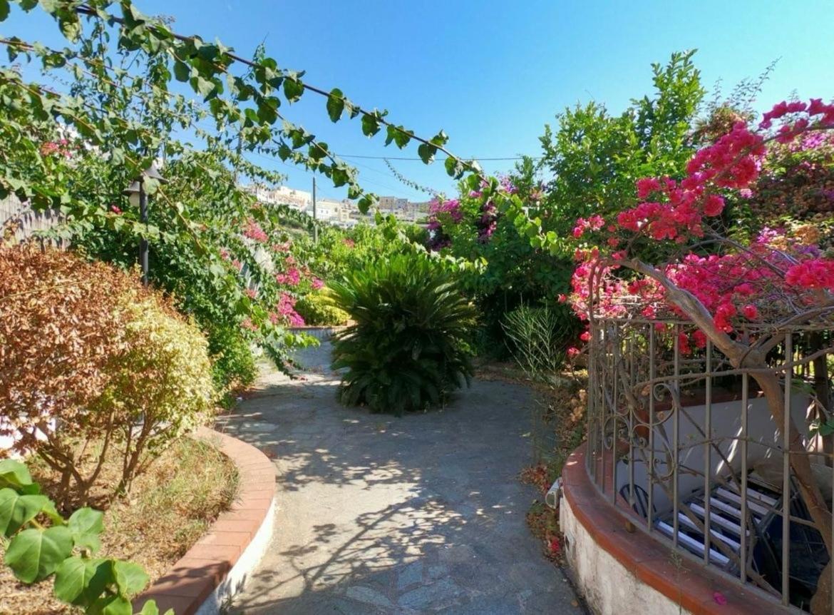 Appartement Splendore House à Marina Grande  Extérieur photo